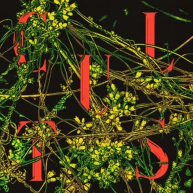 CULTS | HOST | VINYL RECORD (LP)