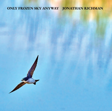 ONLY FROZEN SKY ANYWAY | VINYL RECORD (LP)