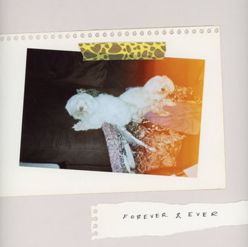 FOREVER & EVER | MUSIC CASSETTE