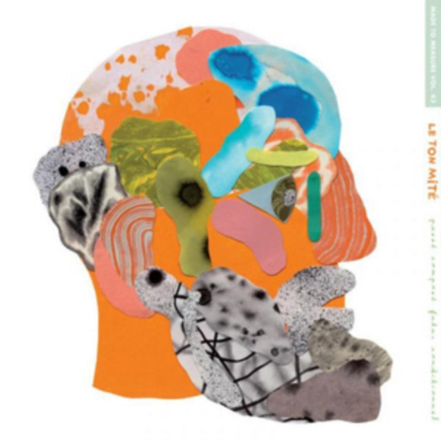 LE TON MITE | PASSE COMPOSE FUTUR CONDITIONNEL | VINYL RECORD (LP)