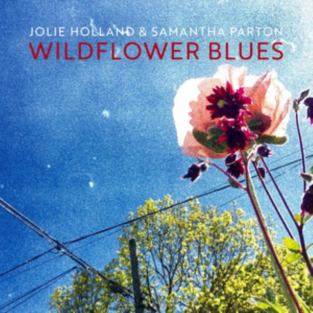 HOLLAND, JOLIE / SAMANTHA | WILDFLOWER BLUES | VINYL RECORD (LP)