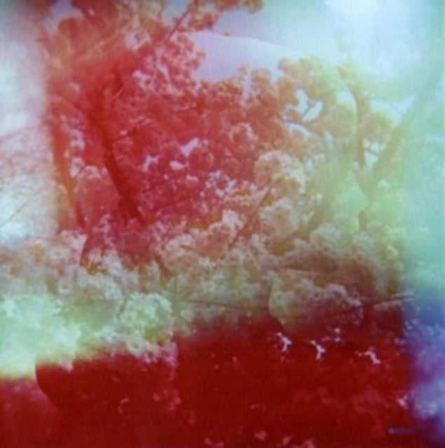WALLS | WALLS (LP/CD) | VINYL RECORD (LP)