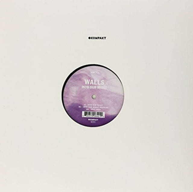 WALLS | INTO OUR MIDST | 12IN VINYL