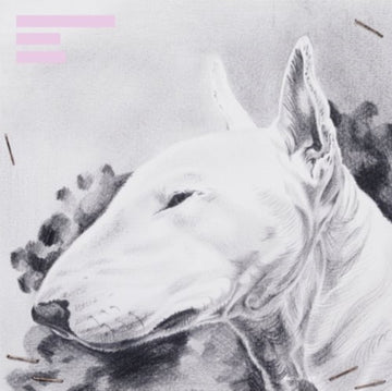 TERRANOVA | PAINKILLER EP | 12IN VINYL