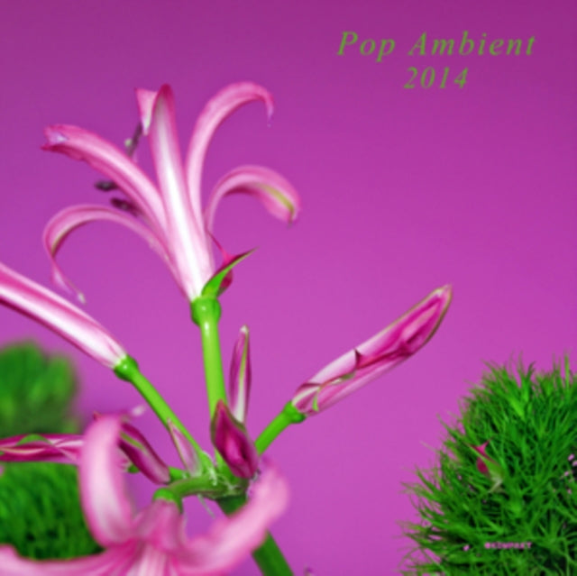 VARIOUS ARTISTS | POP AMBIENT 2014 (LP/CD) | VINYL RECORD (LP)