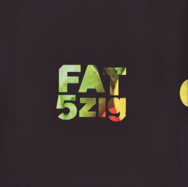 VARIOUS ARTISTS | FREUDE AM TANZEN 5ZIG (2LP/CD) | VINYL RECORD (LP)