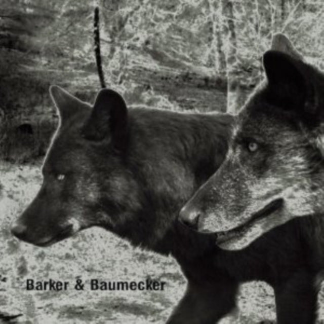 BARKER / BAUMECKER | TRANSSEKTORAL (2LP) | VINYL RECORD (LP)