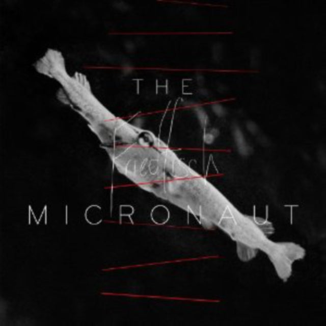 MICRONAUT | FRIEDFISCH | VINYL RECORD (LP)