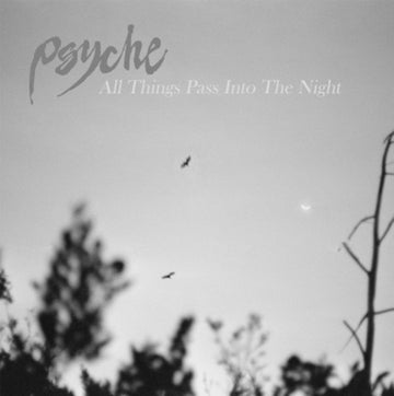PSYCHE | ALL THINGS PASS INTO THE NIGHT | 12IN VINYL
