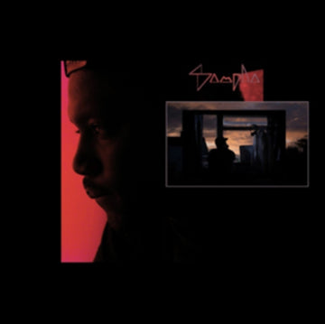 DUAL | 12IN VINYL