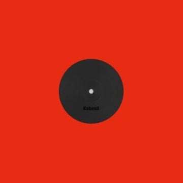 - ----------- | 12IN VINYL
