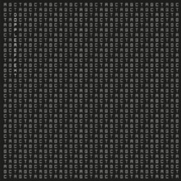 DOPPLEREFFEKT | TETRAHYMENA | 12IN VINYL