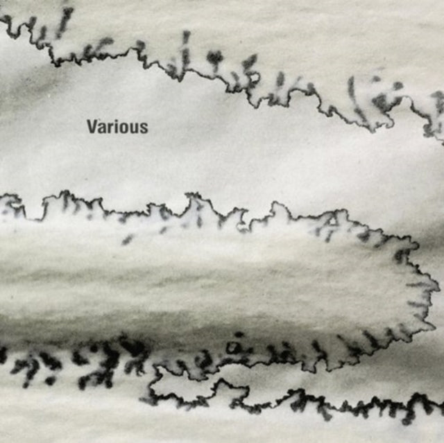VARIOUS ARTISTS | VARIOUS (2 X 12IN) | 12IN VINYL