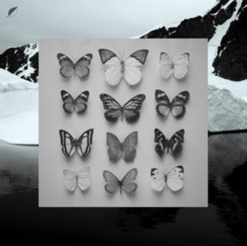 YOUNG ALASKA (12INCH/7INCH) (DL CARD) | 12IN VINYL