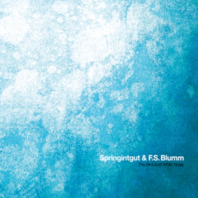 SPRINGINTGUT & F.S. BLUMM | BIRD & WHITE NOISE | VINYL RECORD (LP)
