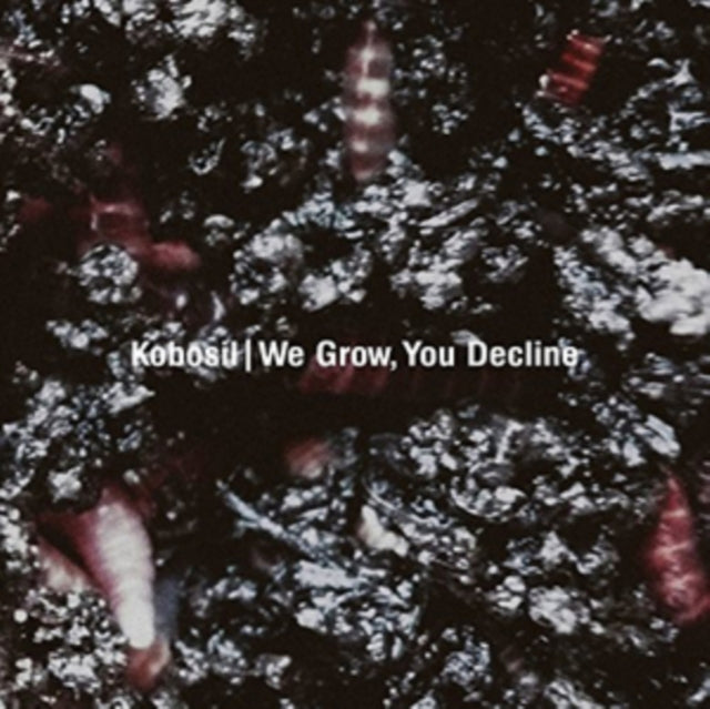 KOBOSIL | WE GROW, YOU DECLINE (2 X 12IN) | 12IN VINYL