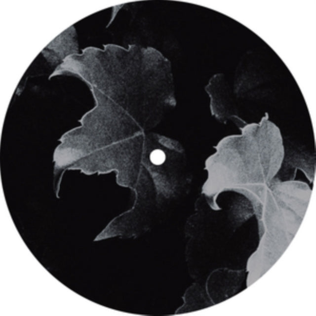 STL | MESSAGE OF SOUND EP: PT.1 | 12IN VINYL