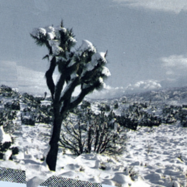 AMBARCHI, OREN / JAEGER, KASSEL / RUSHFORD, JAMES | PALE CALLING | VINYL RECORD (LP)