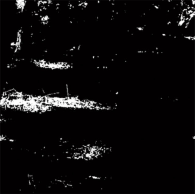 NAX ACID | ABYSSAL | 12IN VINYL