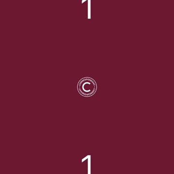 VARIOUS ARTISTS | COMPILATION 04 SAMPLER 1 | 12IN VINYL