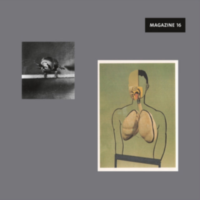 COLOGNE TAPE | WELT (2LP/180G/GATEFOLD/DL CARD) | VINYL RECORD (LP)