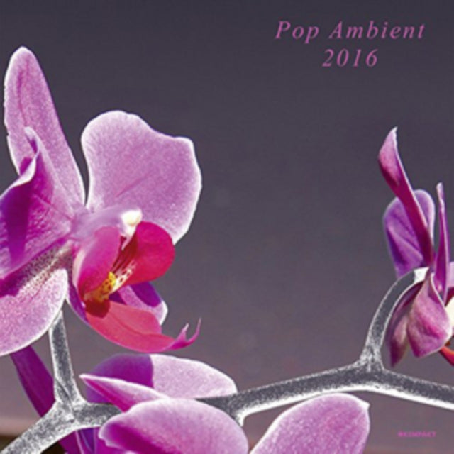 VARIOUS ARTISTS | POP AMBIENT 2016 (LP/CD) | VINYL RECORD (LP)