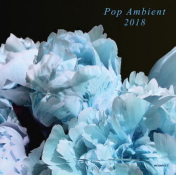 VARIOUS ARTISTS | POP AMBIENT 2018 | VINYL RECORD (LP)
