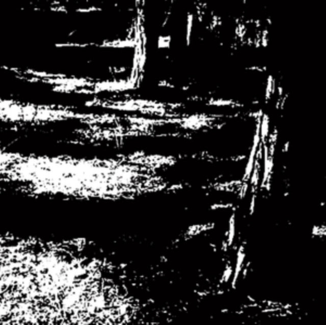 BLAZEJ MALINOWSKI | PROFUNDITY (180G) | 12IN VINYL