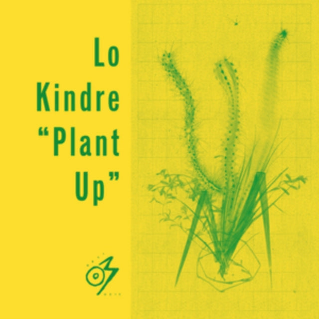 LO KINDRE | PLANT UP | 12IN VINYL