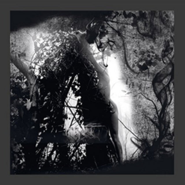 PISETZKY | TEARS OF A ROUGH MACHINE | 12IN VINYL