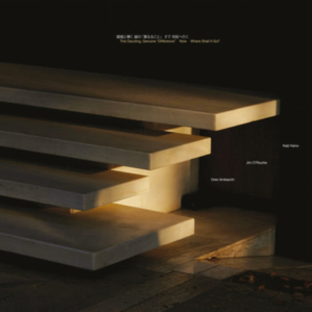 HAINO, KEIJI / O'ROURKEJIM / AMBARCHI, OREN | THIS DAZZLING, GENUINE DIFFERENCE NOW WHERE SHALL IT GO | VINYL RECORD (LP)