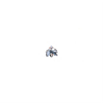 SEBASTOPOL | ASSASSIN | 12IN VINYL