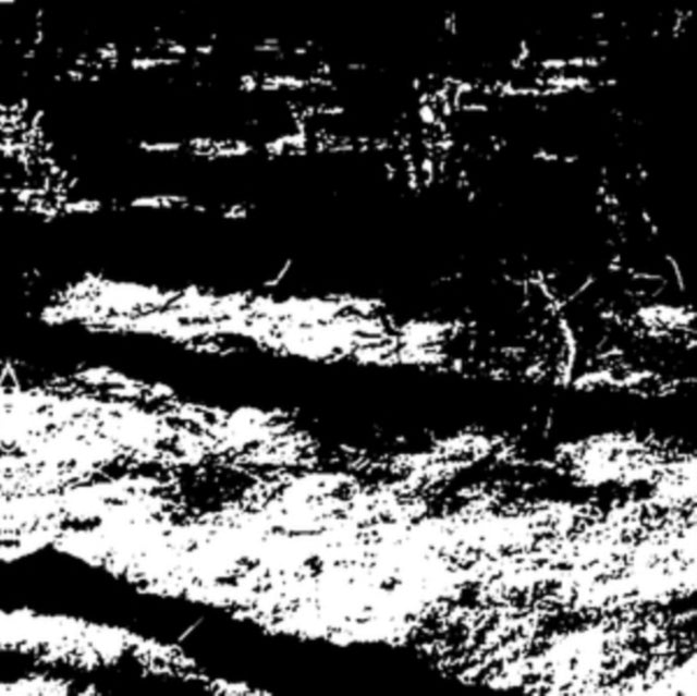 GRALL, VON | TRANSFORMATION IS CONFORMAL | 12IN VINYL
