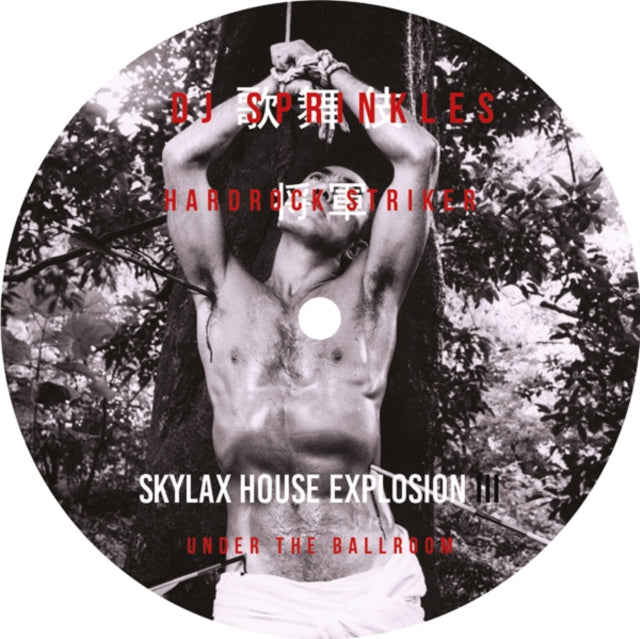 DJ SPRINKLES & HARDROCK STRIKER | UNDER THE BALLROOM | 12IN VINYL
