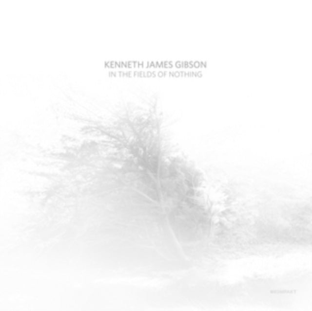 GIBSON, KENNETH JAMES | IN THE FIELDS OF NOTHING | VINYL RECORD (LP)