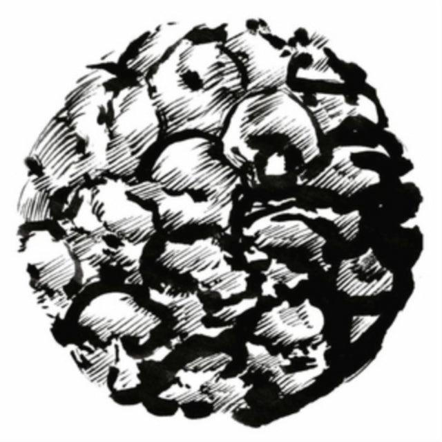 DITONGO | CALYPSO | 12IN VINYL