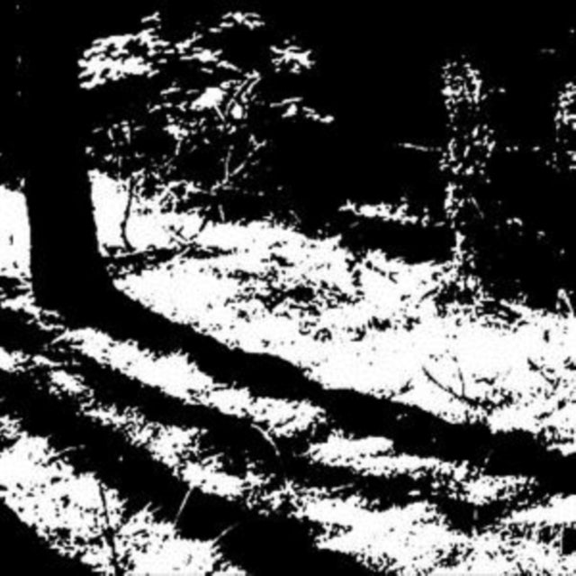 VAN OERS, REGGY | TRANSCRANIAL | 12IN VINYL