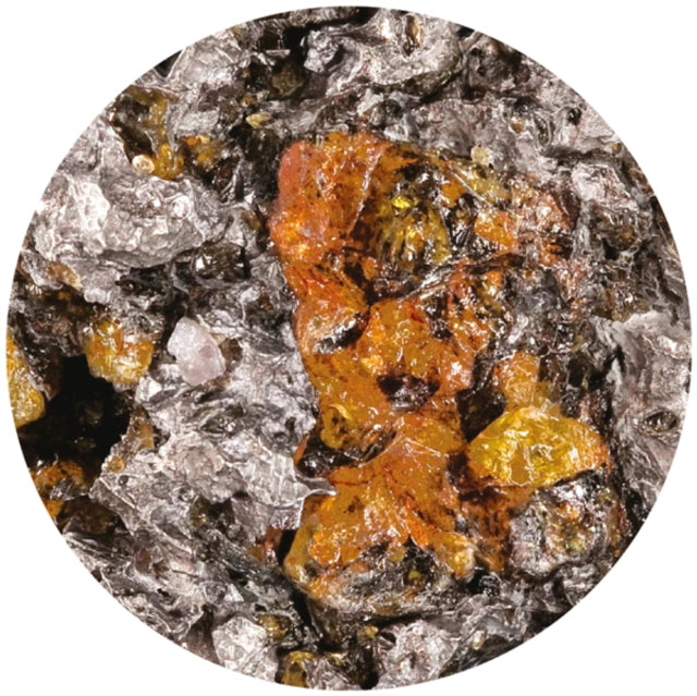 FANGO | URANO 2/3 | 12IN VINYL