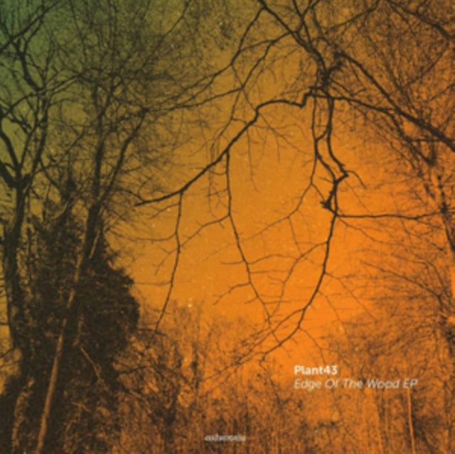 PLANT 43 | EDGE OF THE WOOD EP | 12IN VINYL