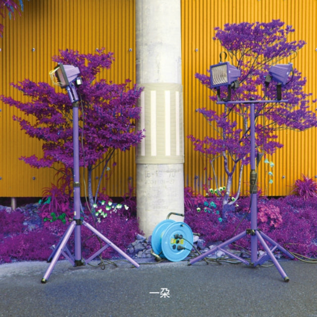 EIKO ISHIBASHI & DARIN GRAY | ICHIDA | VINYL RECORD (LP)