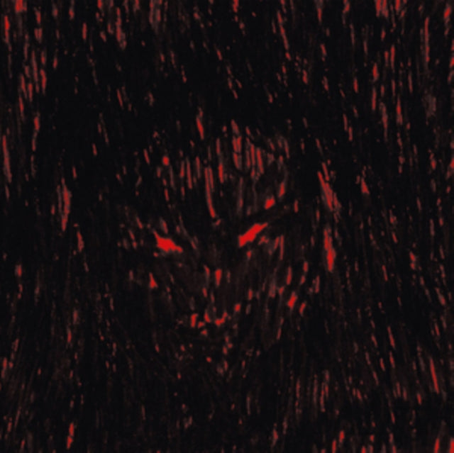 DJ RICHARD | DIES IRAE XEROX | VINYL RECORD (LP)