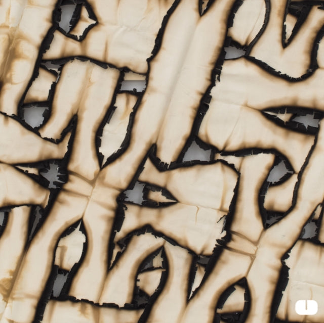 BORUSIADE | THEIR SPECTERS | 12IN VINYL