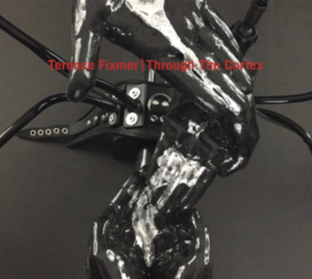 FIXMER, TERENCE | THROUGH THE CORTEX | VINYL RECORD (LP)