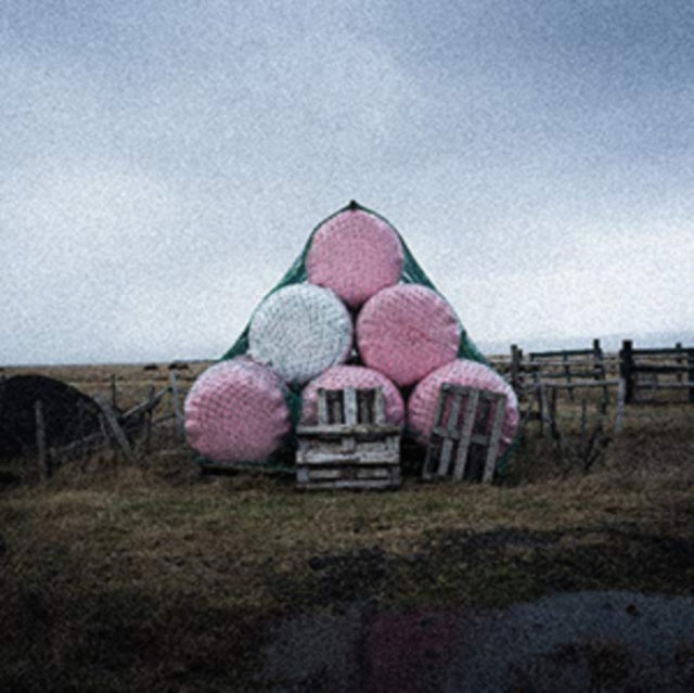 BJARNASON, BJARNI FRIMANN | CHATEAU | VINYL RECORD (LP)
