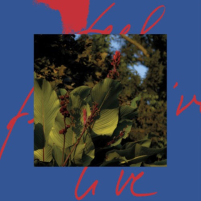 PAGLIARA, MASSIMILIANO | FEEL LIVE (2LP) | VINYL RECORD (LP)