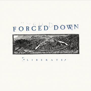 LIBERATE | VINYL RECORD (LP)