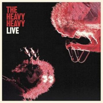 LIVE (ELECTRIC RED VINYL) | VINYL RECORD (LP)