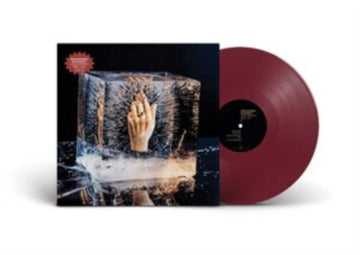 YOUR PERFECT REAL LIFE | VINYL RECORD (LP)