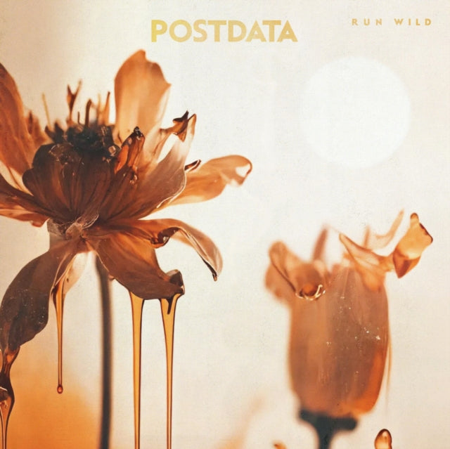POSTDATA | RUN WILD | VINYL RECORD (LP)