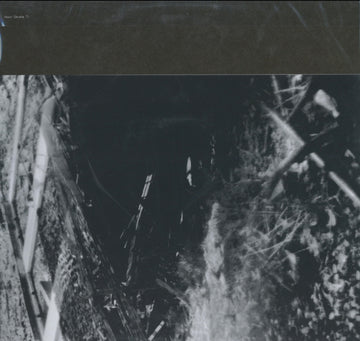 EIDER, COMMON / EIDER, KING | WORN | VINYL RECORD (LP)